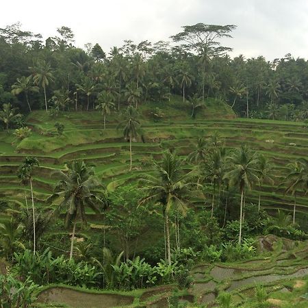 Pangkung House Apartment Ubud  Luaran gambar