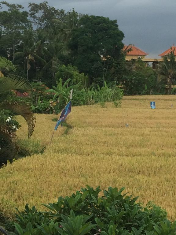 Pangkung House Apartment Ubud  Luaran gambar